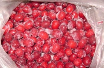 ด็อกวูดแช่แข็ง