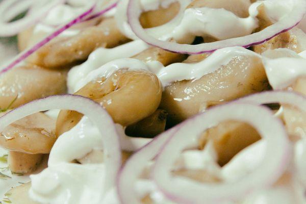 champignons au lait marinés aux oignons