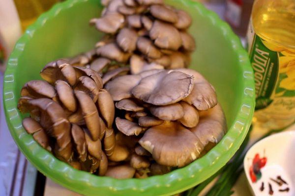 เห็ดนางรม