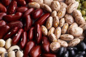 การปลูกถั่วและการปลูกบนขอบหน้าต่างที่บ้านทีละขั้นตอนสำหรับผู้เริ่มต้น และการควบคุมโรคและแมลงศัตรูพืช