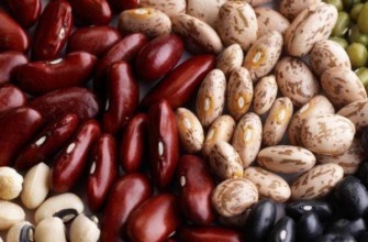 ถั่วต่างๆ