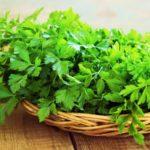 ผักชีฝรั่งสด