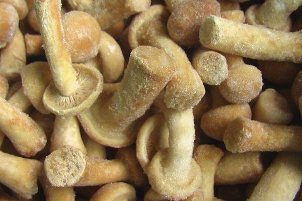 เห็ดแช่แข็ง