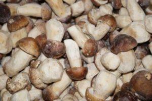 Comment bien congeler les cèpes pour l'hiver : les meilleures recettes