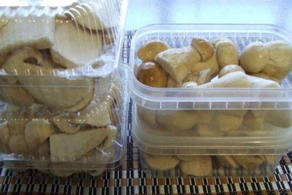 เห็ดในตู้เย็น