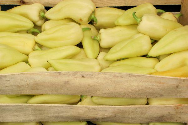 พริกเหลือง