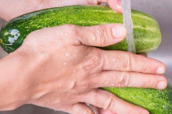 การเตรียมแตงกวา