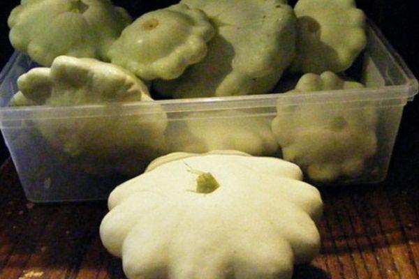 การแช่แข็งสควอชแพตตี้แพน