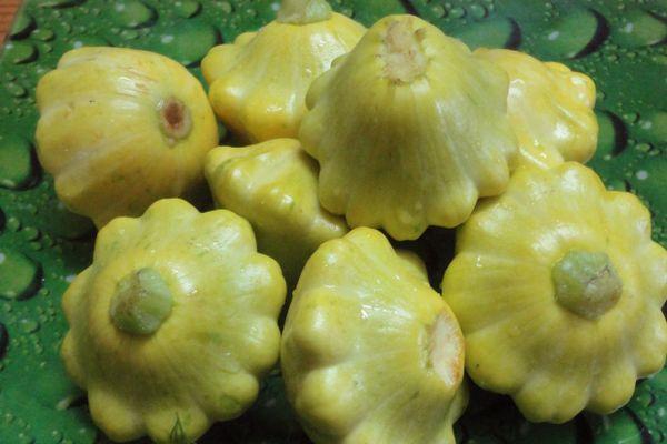 สควอชแพตตี้แพนขนาดเล็ก