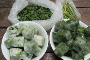 วิธีการแช่แข็งผักชีฝรั่งสดในตู้เย็นในช่วงฤดูหนาวอย่างถูกต้อง เป็นอันตรายหรือไม่?