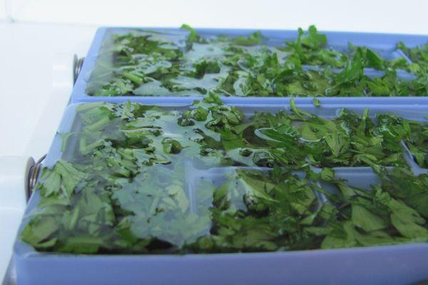 ผักใบเขียวแช่แข็ง