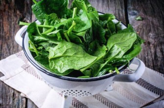 ผักโขมสด