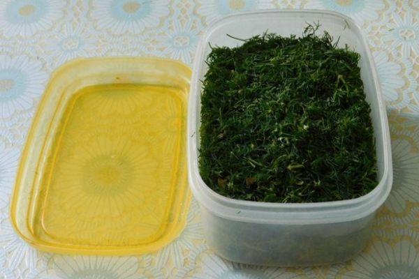 ผักชีลาวในภาชนะ