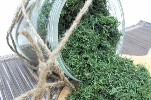 ผักชีลาวแห้ง