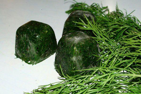 การแช่แข็งผักใบเขียว