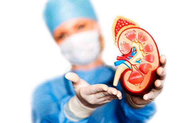 นิ่วในไต