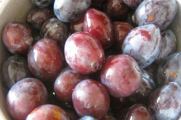 ลูกพลัมสุก