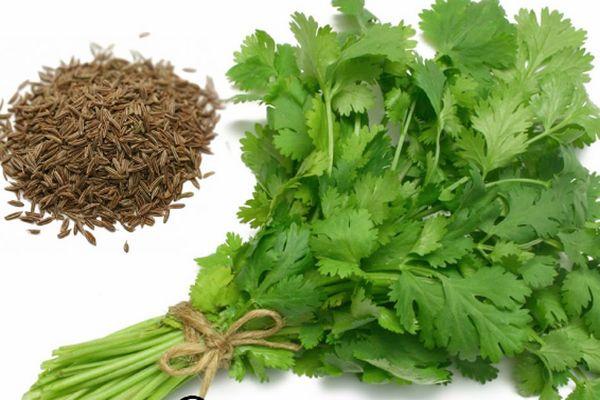 ผักใบเขียวจำนวนหนึ่ง