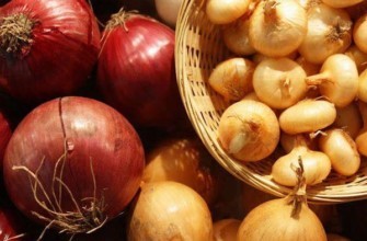 หัวที่สุกแล้ว