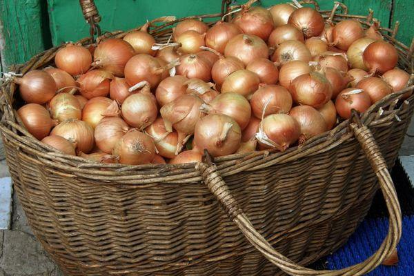 ตะกร้าหัวหอม