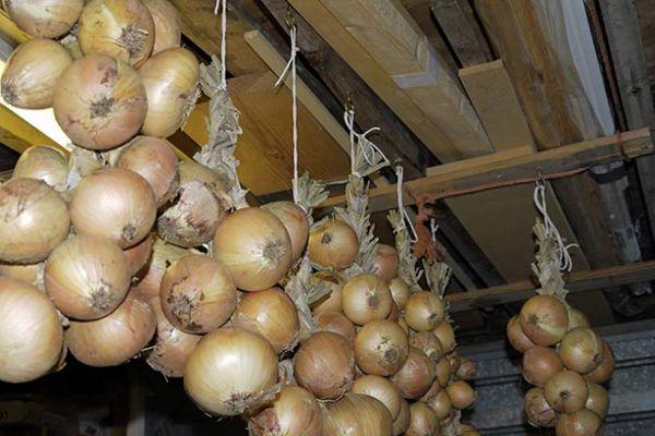 โบว์แขวน