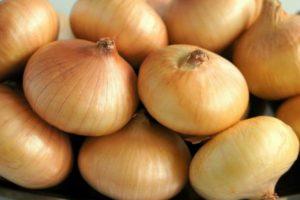 เมื่อไหร่ควรเก็บเกี่ยวหัวหอม หัวหอมประจำบ้าน และหัวผักกาดในเทือกเขาอูราลในปี 2020 ช่วงเวลา