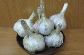 หัวกระเทียม