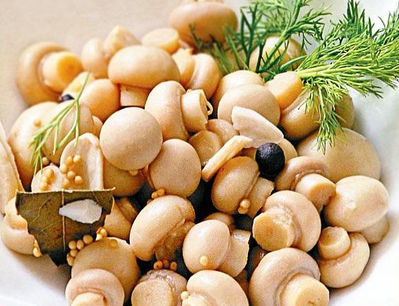 délicieux champignons