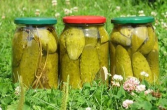 แตงกวาในขวดลิตร