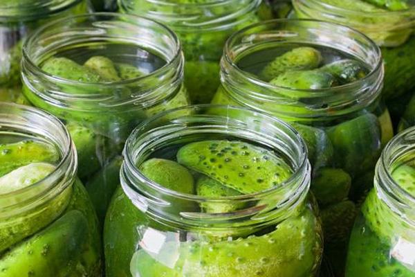 แตงกวาสำหรับฤดูหนาว