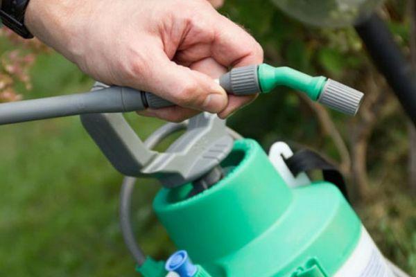 Lutte antiparasitaire