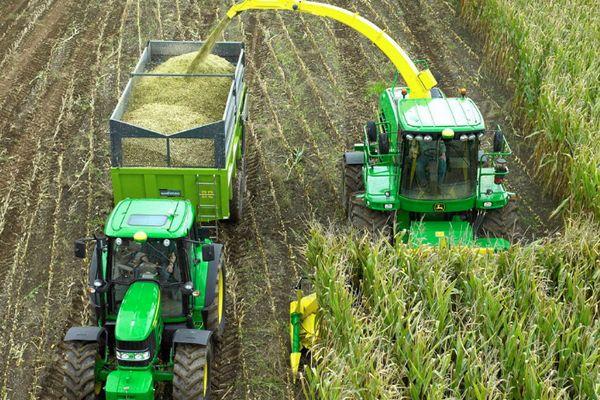 Carte technologique pour la culture du maïs ensilage, taux de semis et rendement par 1 ha