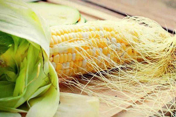 ข้าวโพดฝัก