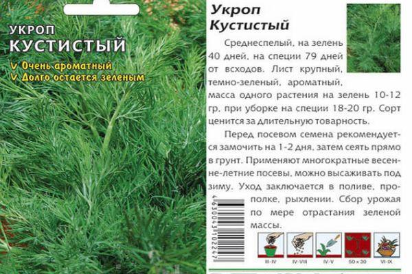 ผักชีลาว