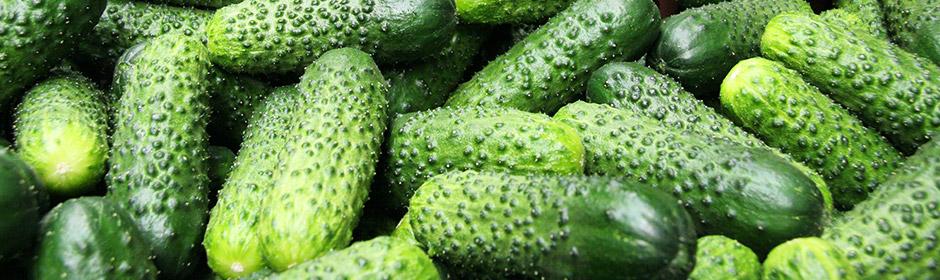 แตงกวาสด