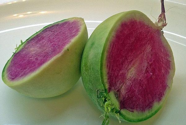 ลักษณะของหัวไชเท้าสีแดง