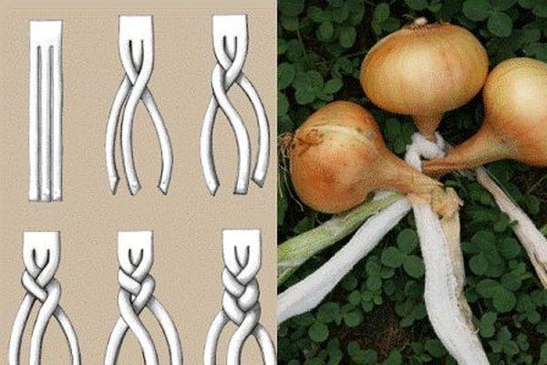 แผนการถักโบว์