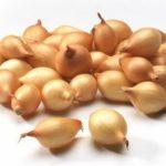 ชุดหัวหอม