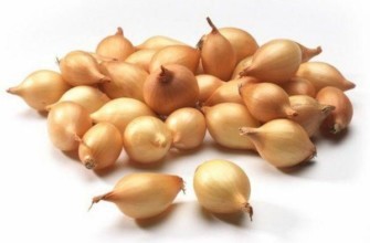 ชุดหัวหอม