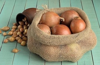 หัวหอมในถุง