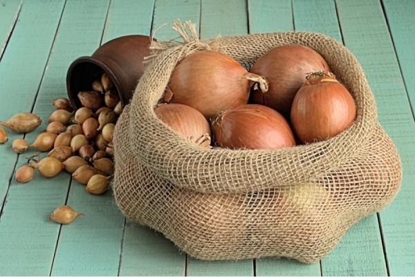 oignons en sac
