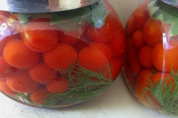 tomates cerises légèrement salées en petits pots