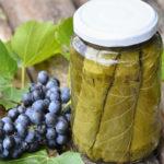 ใบองุ่นดอง