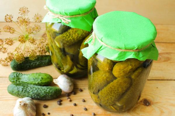 แตงกวาตัวร้ายในขวด