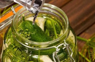 เทวอดก้าลงในขวดพร้อมแตงกวา