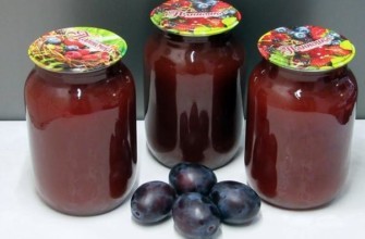 น้ำพลัมในขวด