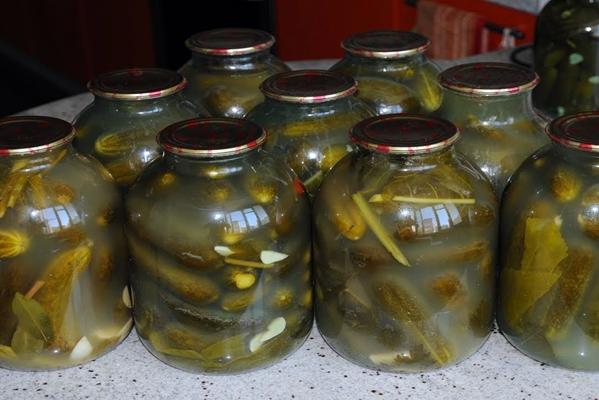 แตงกวากับวอดก้าในขวด