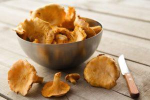 วิธีการตากเห็ดแคนทาเรลในฤดูหนาวในเตาอบ ไมโครเวฟ และเครื่องอบแห้งไฟฟ้า และเป็นไปได้หรือไม่