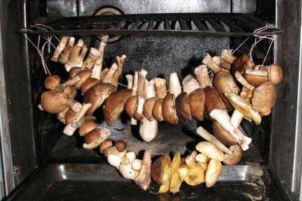 เห็ดในเตาอบ