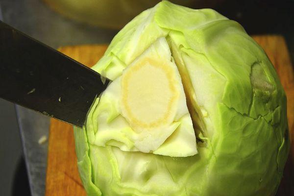 Récolte des tiges de chou